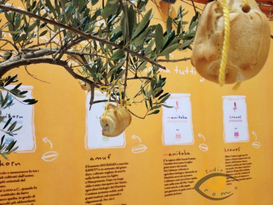 CURIOUSdesign - Stand Molino Grassi  - Gli alberi del pane